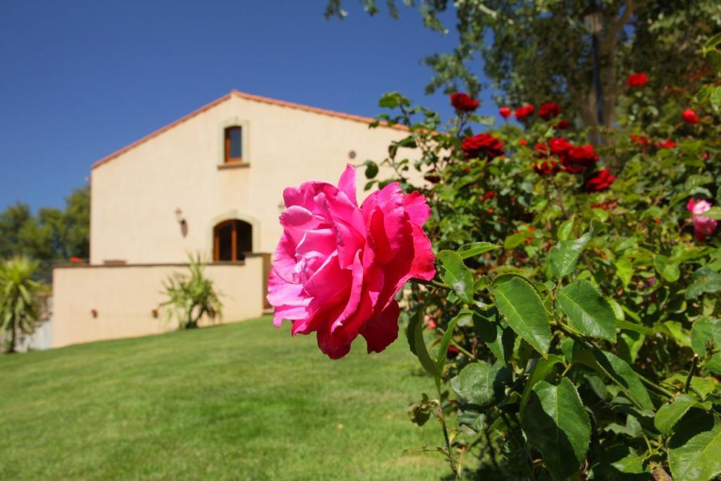 B&B Le Ginestre Cefalù Zewnętrze zdjęcie